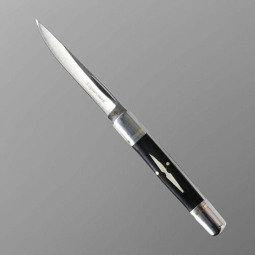 Нож складной ТероПром 9278666 Горностай сталь - 420, рукоять - сталь/дерево, клинок - 8 см