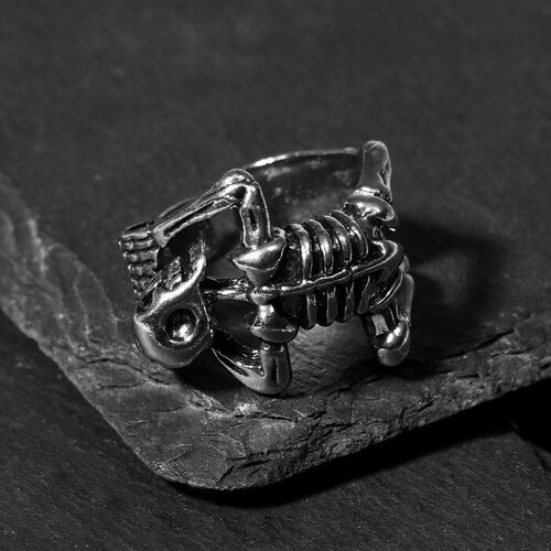 Кольцо Queen Fair, серебряный кольцо цепь модерн цвет чернёное серебро безразмерное queen fair