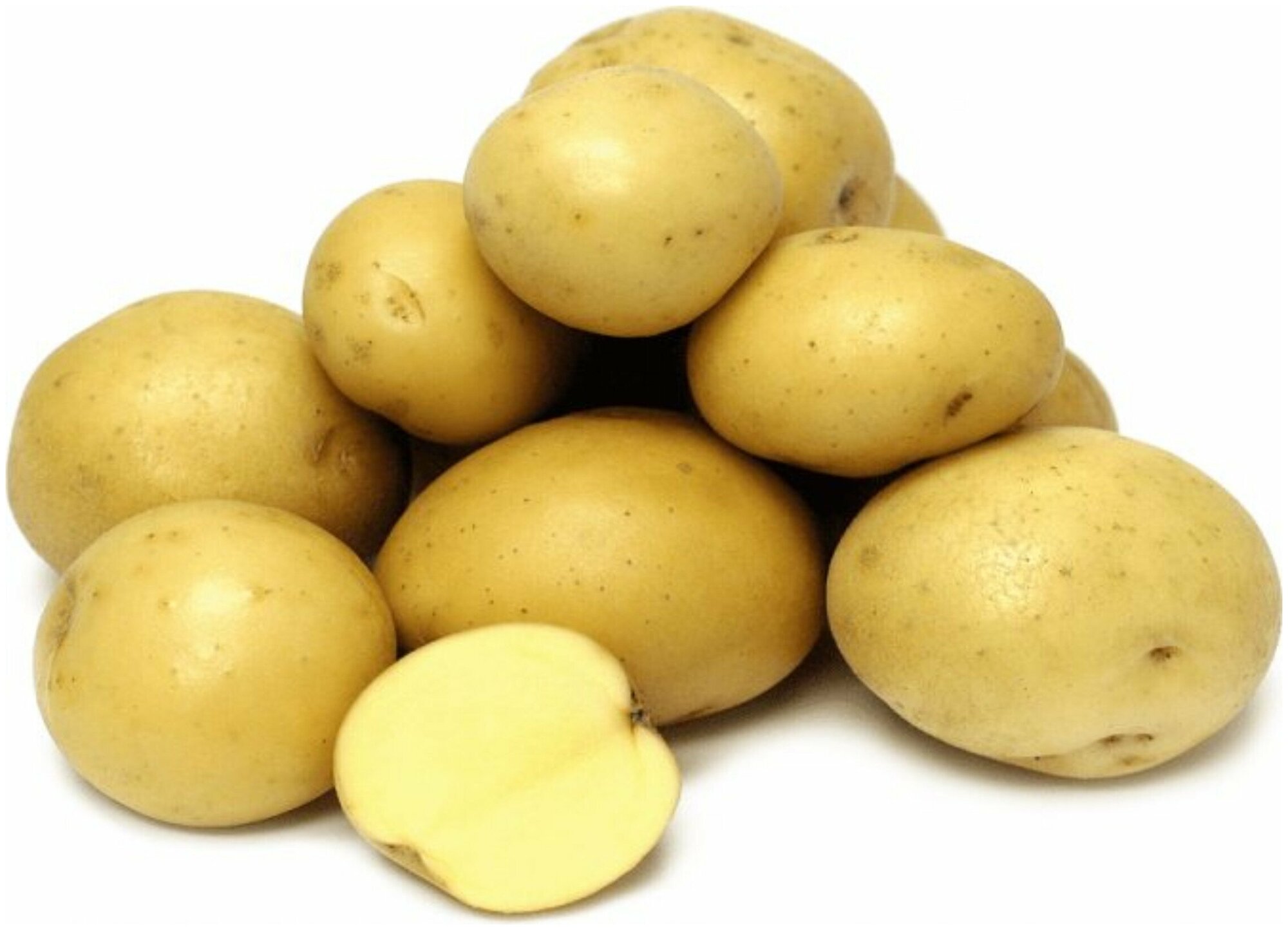 Картофель "Джувел", в сетке 2 кг, защищенный от вирусов, с отличным картофельным ароматом и содержанием крахмала 13%, отличается повышенной устойчивос - фотография № 1