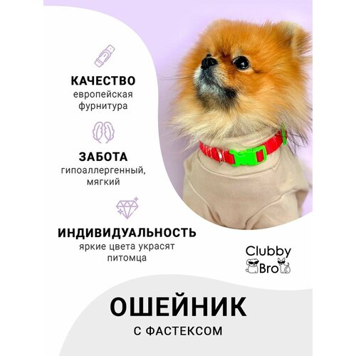 Clubby Bro Ошейник для собак мелких пород и средних пород, красный-зеленый, размер M