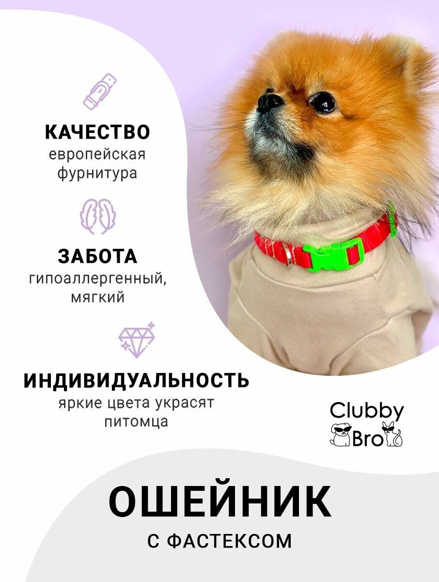 Clubby Bro Ошейник для собак мелких пород и средних пород, красный-зеленый, размер M