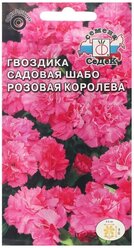 Семена цветов цветок Гвоздика Розовая королева (садовая, шабо, насыщенно-розовая) . Евро, 0,