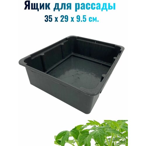 Ящик для рассады, 35x29 см, 5 л, цвет черный (1шт)