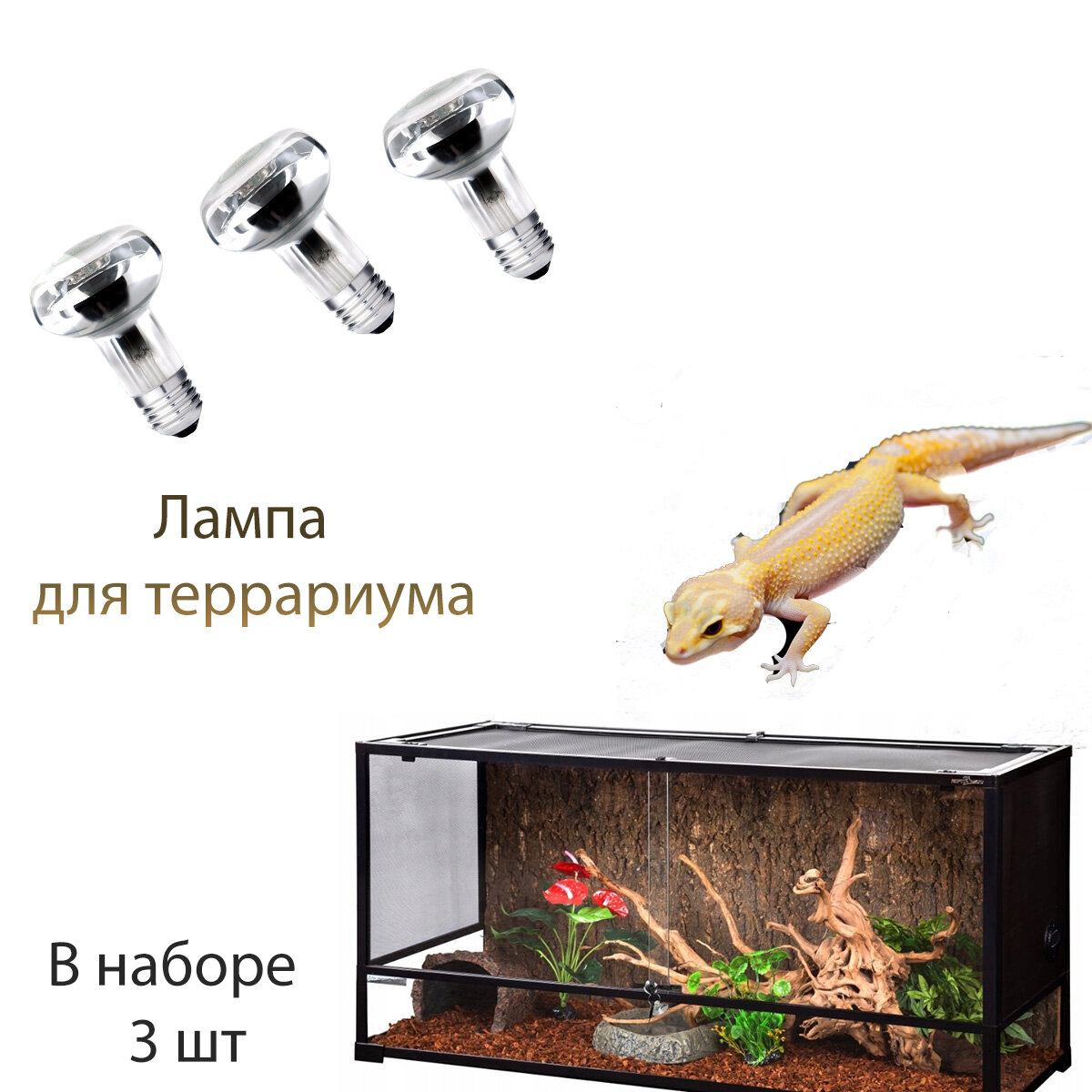 Для террариума лампа декор 3 шт для террариума черепах ящериц/ рептилий растения грунт