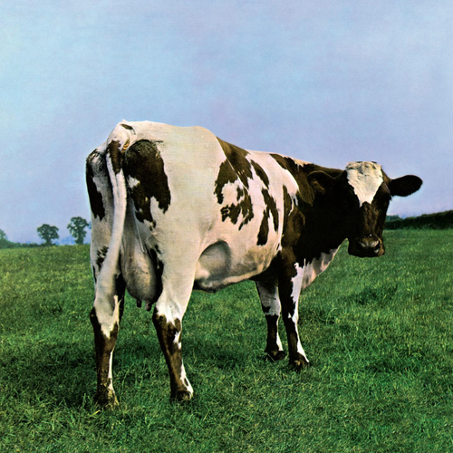 Винил 12” (LP) Pink Floyd Atom Heart Mother pink floyd pink floyd atom heart mother 180 gr