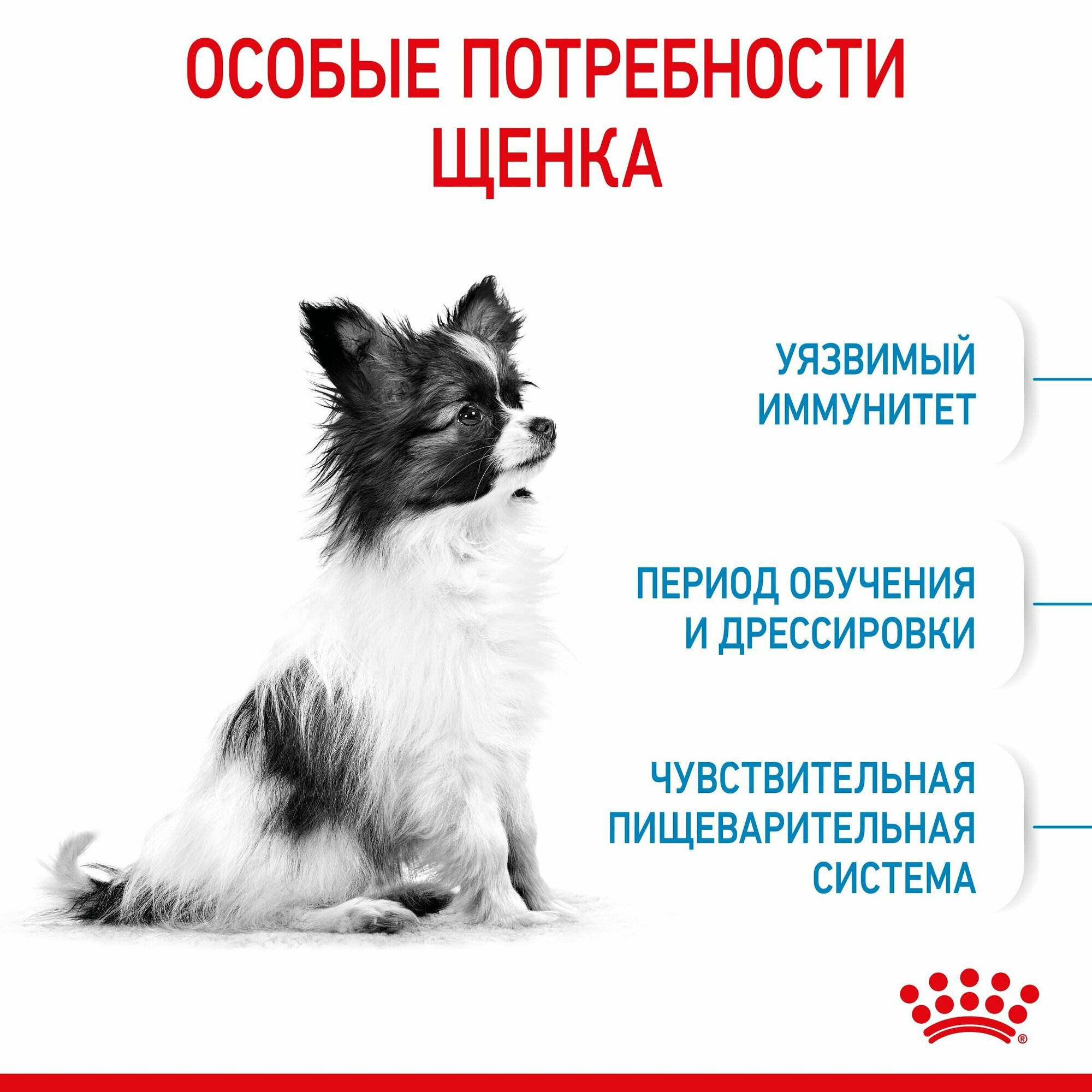 Корм Royal Canin - фото №13