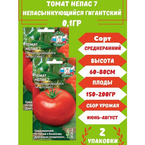 Томат Непасынкующийся Гигантский - Непас 7,2 упаковки семена томат непас 13 непасынкующийся сливовидный