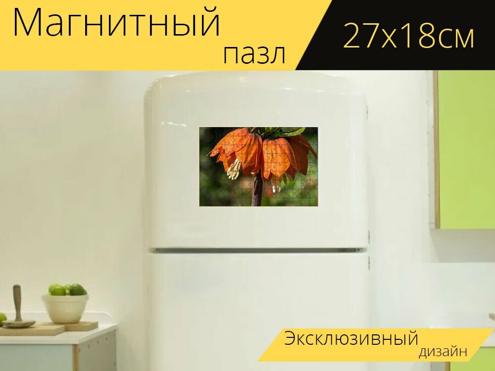Магнитный пазл "Императорская корона, цветок, макрос" на холодильник 27 x 18 см.