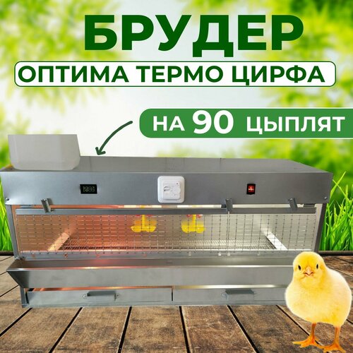 Брудер для 90 цыплят Оптима Цифра с терморегулятором Стандарт