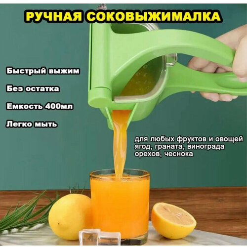 Пресс-соковыжималка для фруктов 110000₽