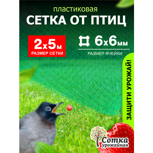 Сетка пластиковая от птиц 6х6 (2 х 5м) Зеленая 'Урожайная сотка'