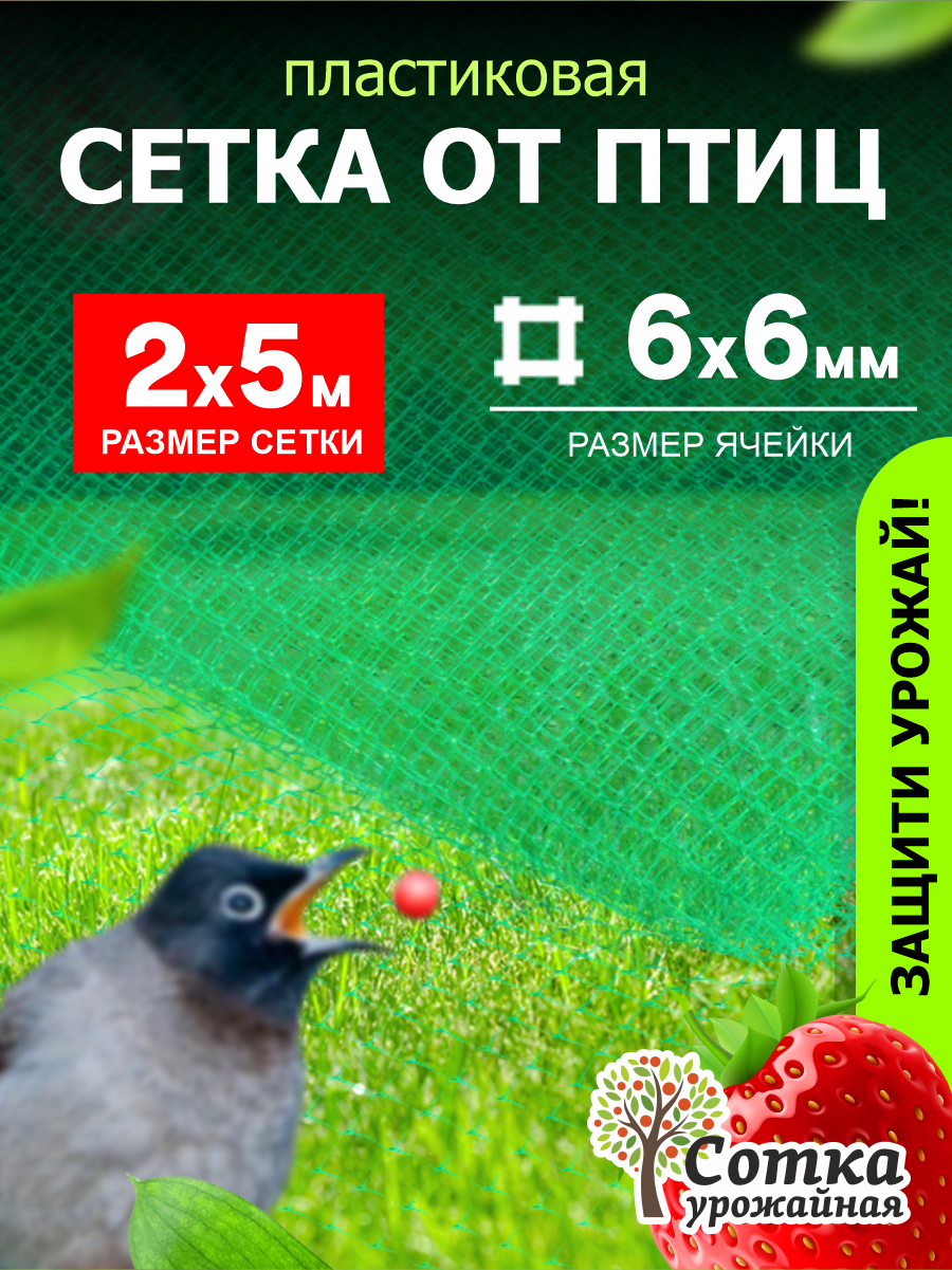 Сетка пластиковая от птиц 6х6  2 х 5м  Зеленая  Урожайная сотка 