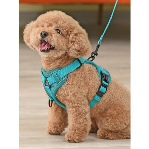 Шлейка с поводком Ergonomic для собак и кошек размер S цвет бирюза регулируемая 850₽