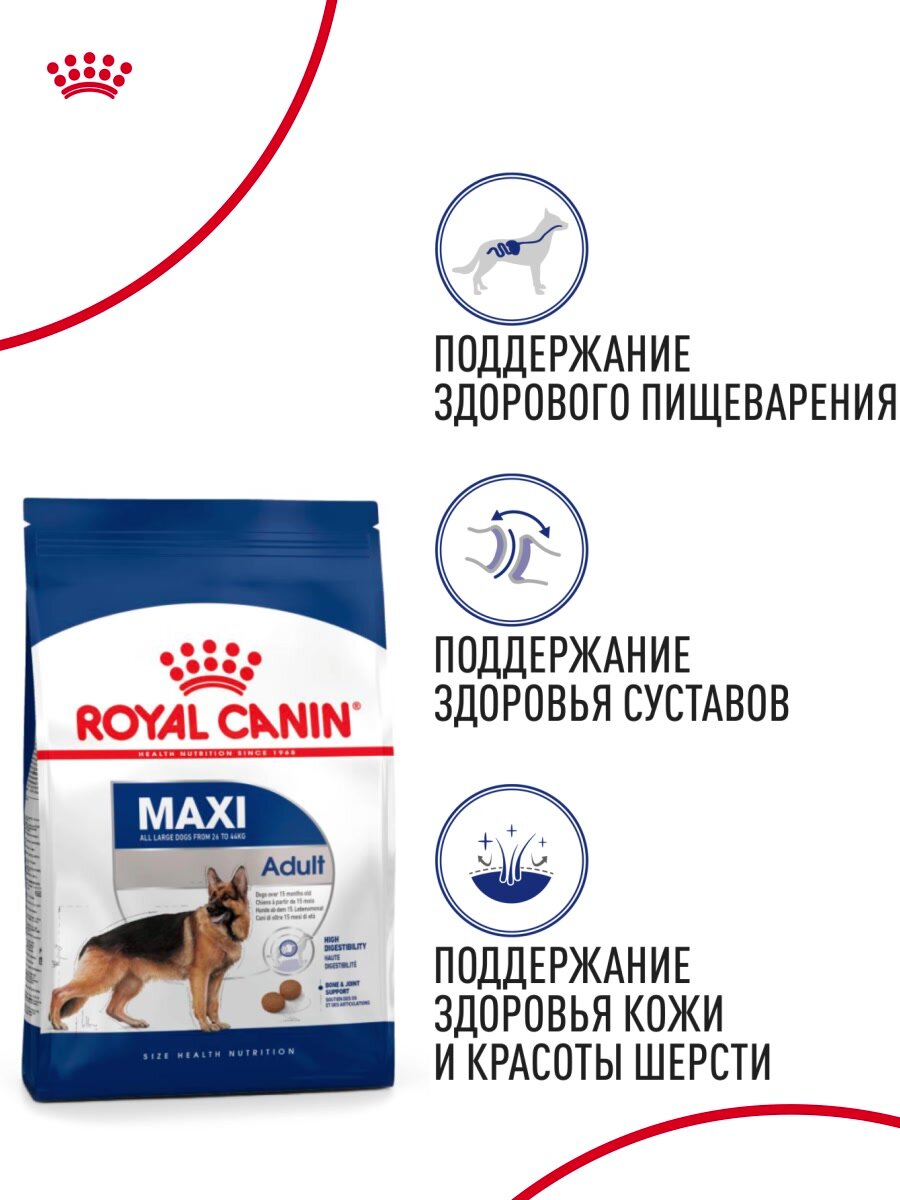 Сухой корм для собак Royal Canin Maxi Adult для крупных пород от 15 месяцев до 5 лет, 3 кг — фото 1