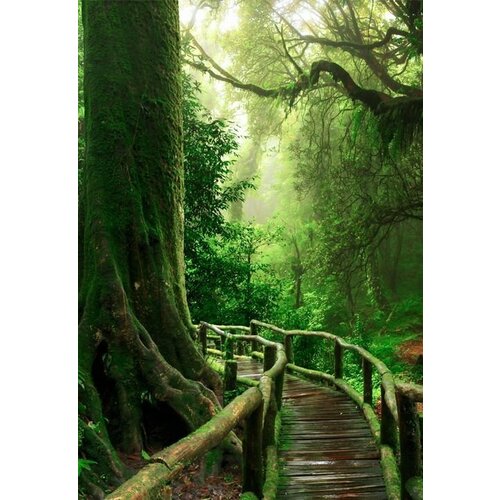 Моющиеся виниловые фотообои Деревянный мостик в лесу, 200х290 см моющиеся виниловые фотообои деревянный мостик в лесу 300х290 см