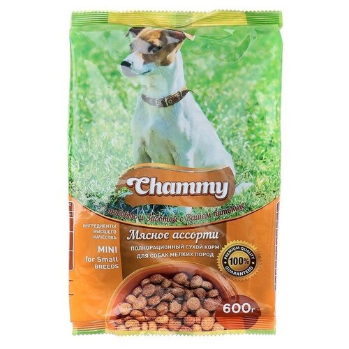Сухой корм Chammy для собак мелких пород, мясное ассорти, 600 г 4129193