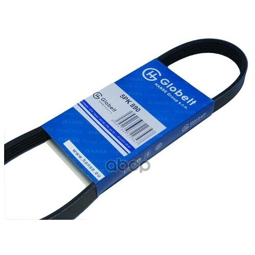 Ремень Приводной, Поликлиновой Globelt арт. 5PK890