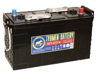 215 Ач 6v Пп Тюмень (Сухой) (1000а Д*Ш*В 42,7*17*24 См) TYUMEN BATTERY арт. 3CT215N