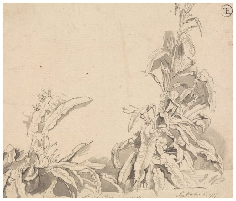 Репродукция на холсте Доки, 6 сентября 1777 г. Уорд Джеймс 35см. x 30см.