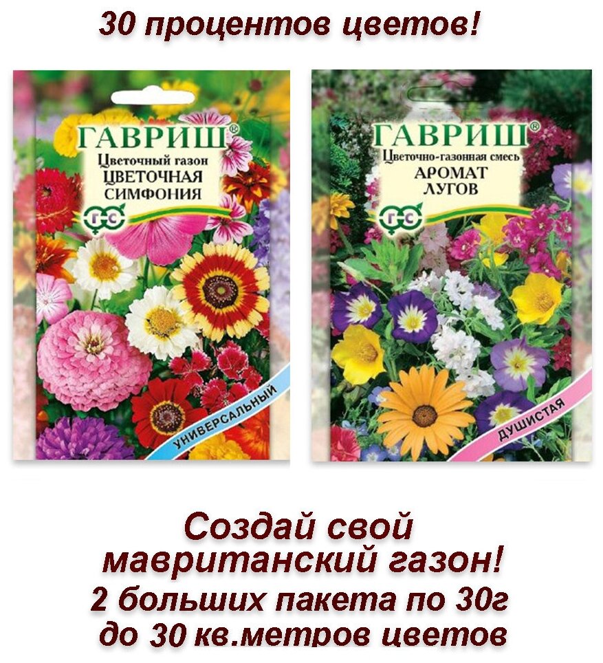 Семена, набор семян цветов Мавританский газон своими руками, 2 пакета по 20 г