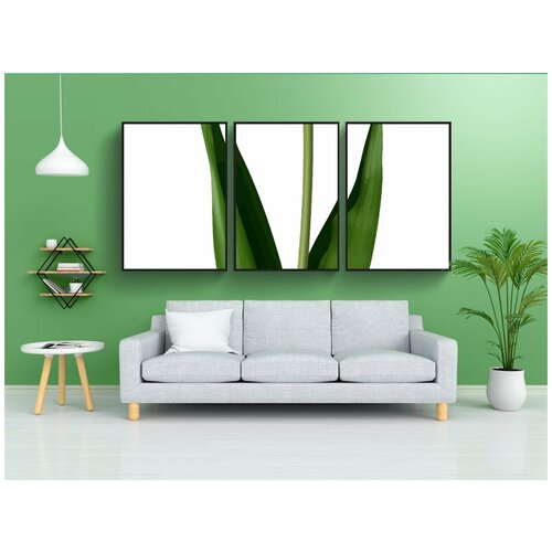 фото Набор модулных постеров для интерьера "цветочный, цветок, лист" 60x90 см. в тубусе, без рамки lotsprints