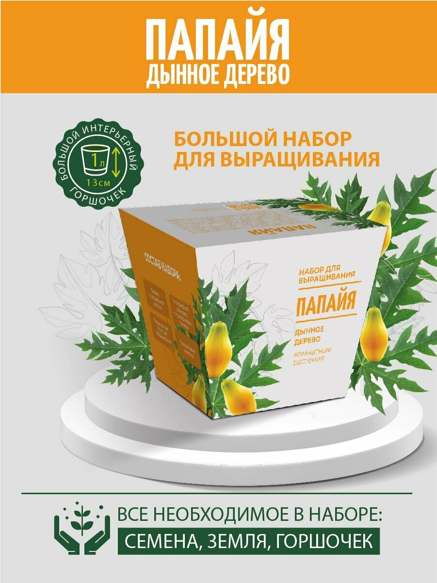 Набор для выращивания "Комнатные растения. Папайя"