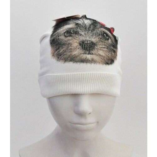 фото Шапка kolad, размер 48-50, мультиколор