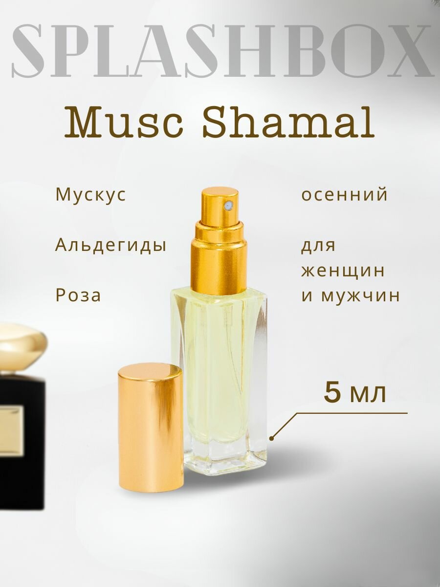 Musc Shamal парфюм стойкий
