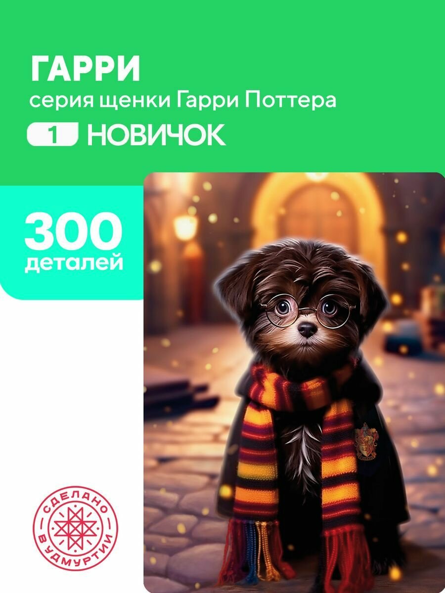 Пазл Гарри 300 деталей простой