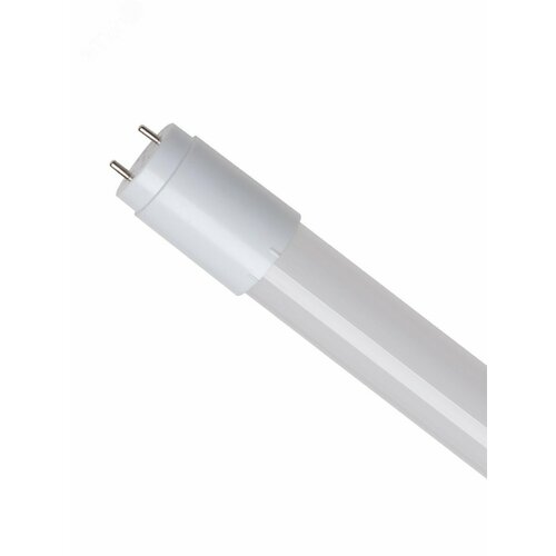 Лампа светодиодная LED 10Вт T8 G13 D25х600 6500К дневной 1100 лм 135₽