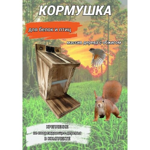 Кормушка для белок и птиц из массива дерева Petrov Home, уличная