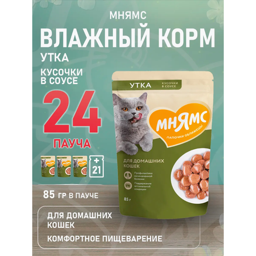 Влажный корм Мнямс Кусочки в соусе с уткой для домашних кошек 24 шт х 85 гр