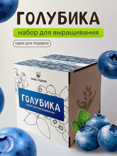 Изображение товара Набор для выращивания растений Сад на окне "Голубика", в деревянном горшочке