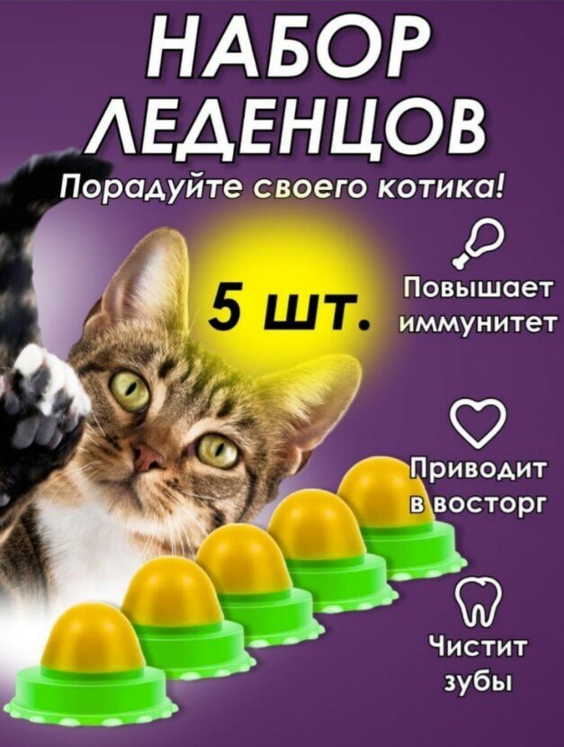 Набор из 5х леденцов для кошки с кошачьей мятой. Лакомство, для чистки зубов котятам, мятный шарик, игрушка, конфета - фотография № 1