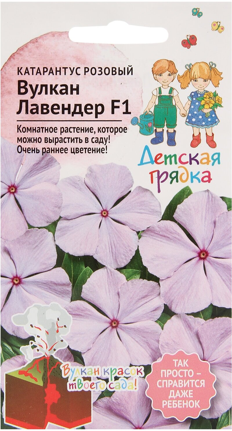 фото Семена Катарантус розовый Вулкан Лавендер F1 5 шт, комнатные многолетние цветы для балкона однолетние для сада, балконные для горшков