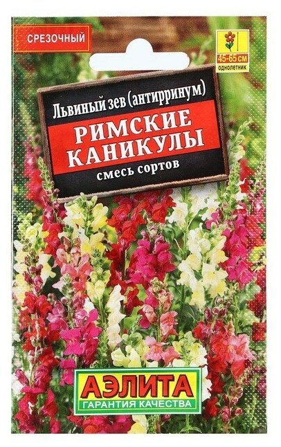 Семена Львиный зев Римские каникулы смесь сортов 01 гр.