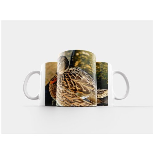 фото Кружка "утка, птица, водоплавающая птица" 320 мл lotsprints