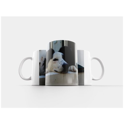 фото Кружка "собака, собаки, забор" 320 мл lotsprints