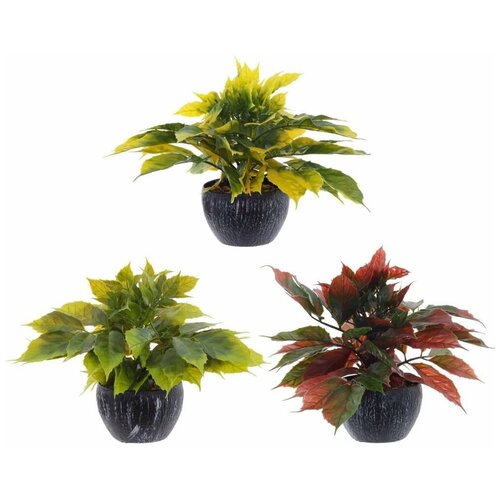 фото Цветочная композиция, l35 w32 h30 см, (3 вида - не набор) ksm-756646 yandex market