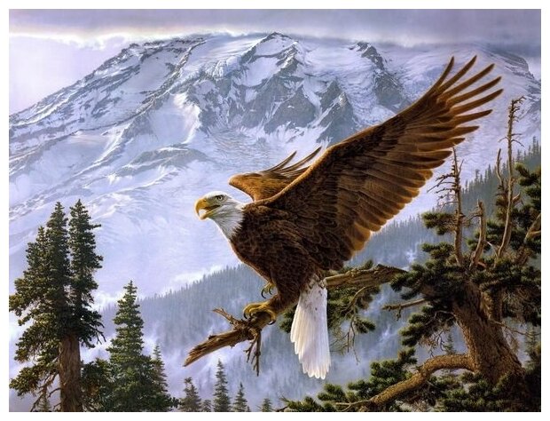 Постер Орел (The Eagl) №1 40см. x 30см.