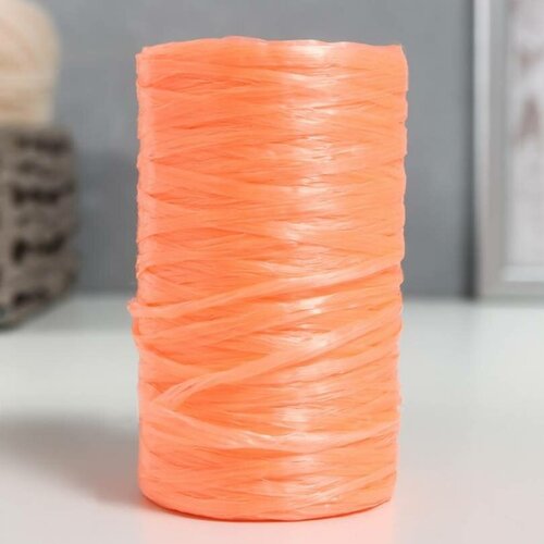 Пряжа - Для вязания мочалок, 100% полипропилен, 300м/75гр, №2-3, цвет розовый абрикос, 5 шт.