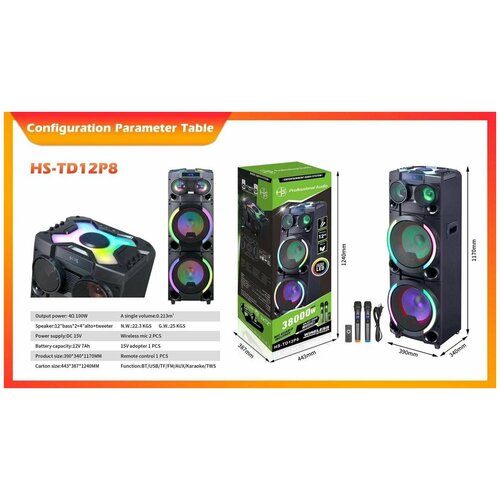 Портативная колонка HS-TD12P8 3390000₽