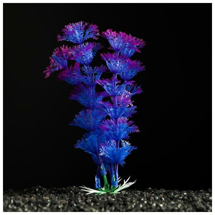 Искусственное аквариумное растение Кабомба фиолетовая, 10 см - фотография № 2