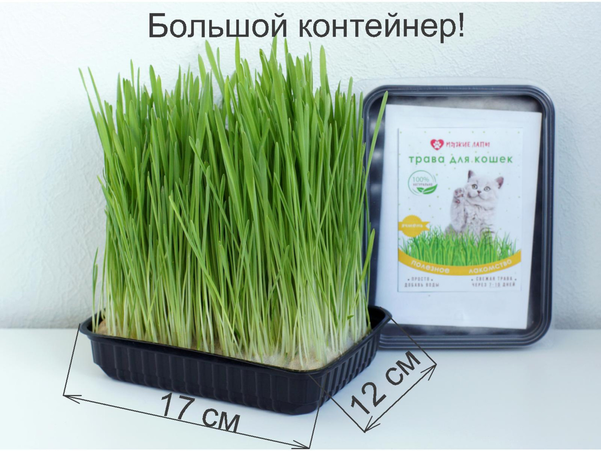 Трава для кошек — фото 1