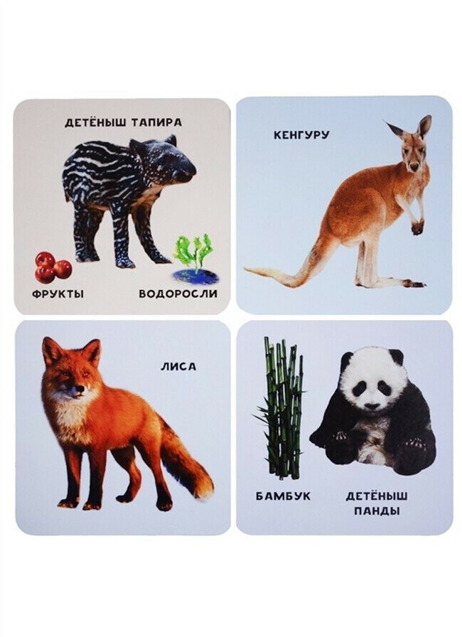 Животные и их детеныши (35 двусторонних карточек) - фото №5
