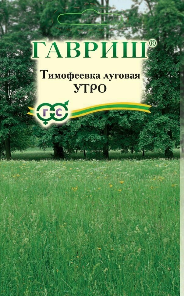 Гавриш Тимофеевка Утро (сидерат) семена газонных трав большой пакет 20 грамм