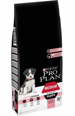 Pro Plan