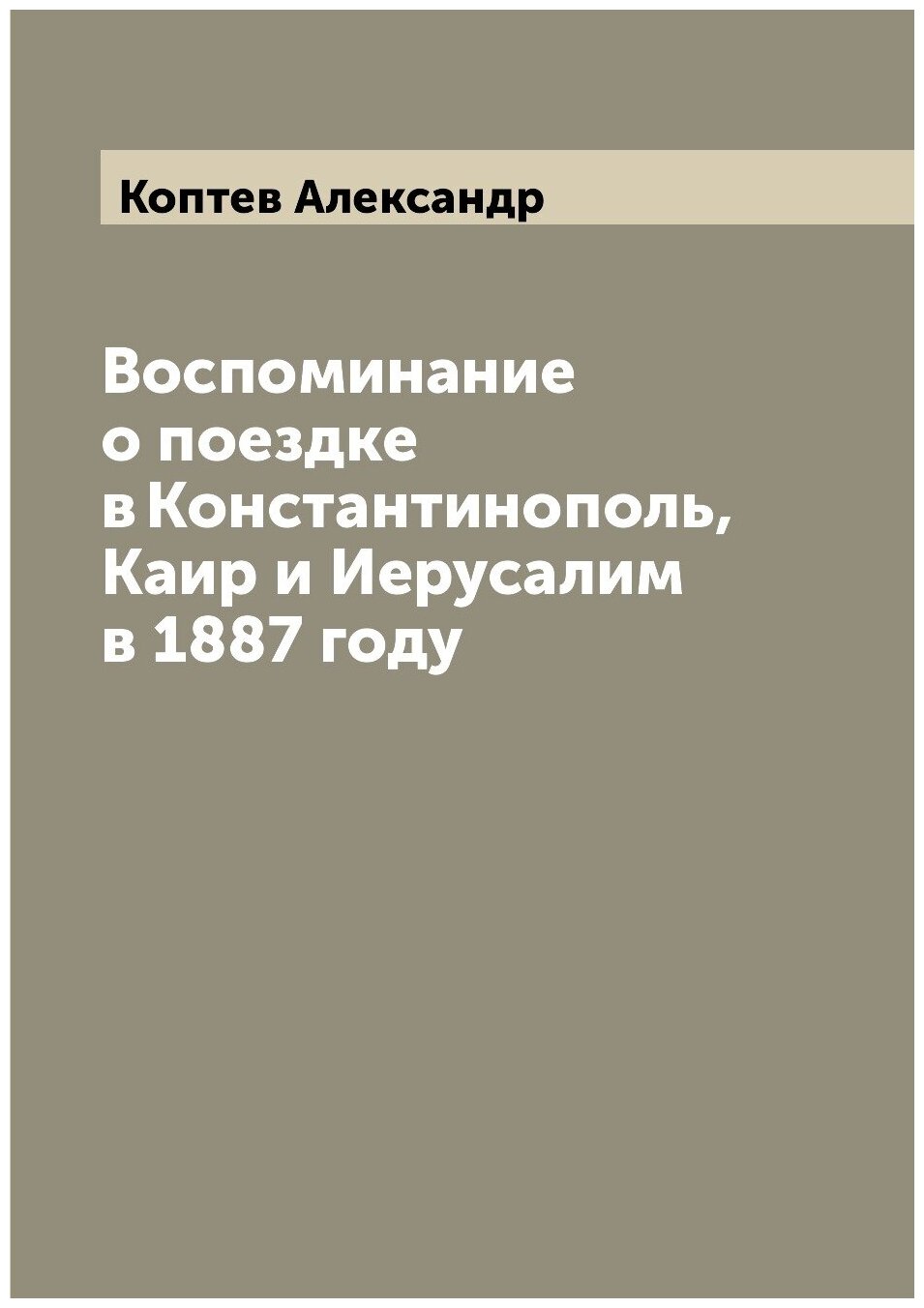 Книга Воспоминание о поездке в Константинополь, Каир и Иерусалим в 1887 году - фото №1