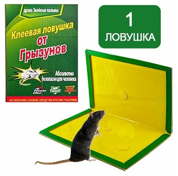 Средство от мышей и крыс: Клеевая ловушка - 1 шт.