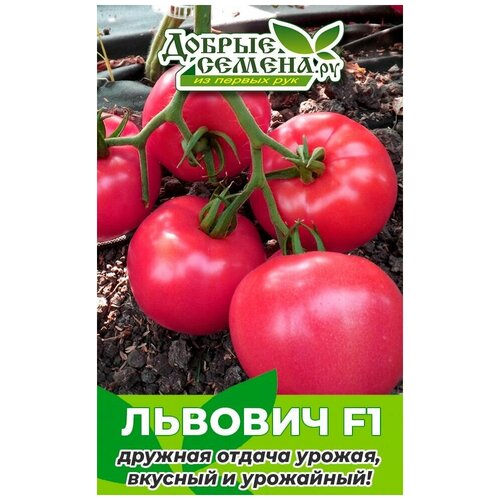 Семена томата Львович F1 - 50 шт - Добрые Семена. ру